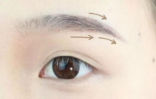 日本小恶魔番号,探寻神秘动漫文化背后的魅力