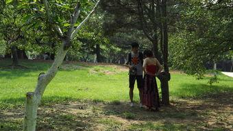 野外树林拍嘘嘘丝袜,野外树林中的嘘嘘丝袜奇遇记