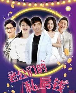 老公私房钱电视剧,揭秘婚姻中的秘密与信任危机
