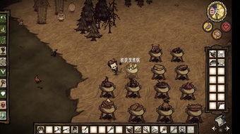 深辰饥荒视频,揭秘末世生存的残酷现实