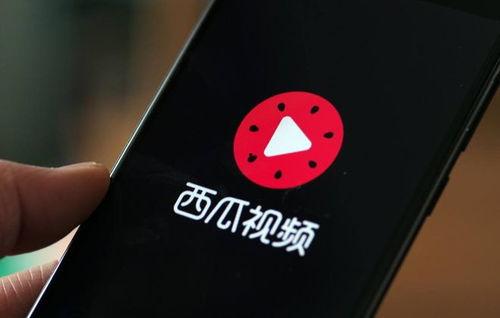 类似西瓜视频,短视频盛宴，轻松解锁精彩瞬间