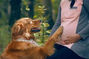 宠物老公,萌宠与人类的温馨生活故事